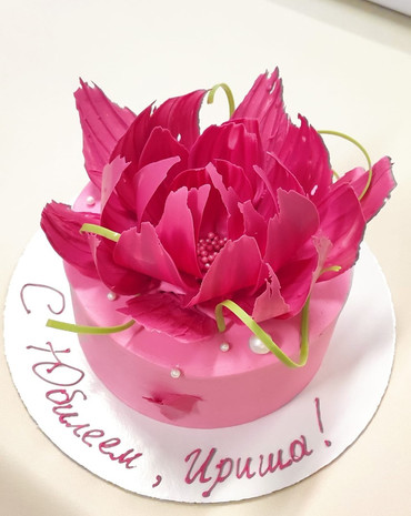 WhatsApp Image 2023-08-19 at 16.50.45